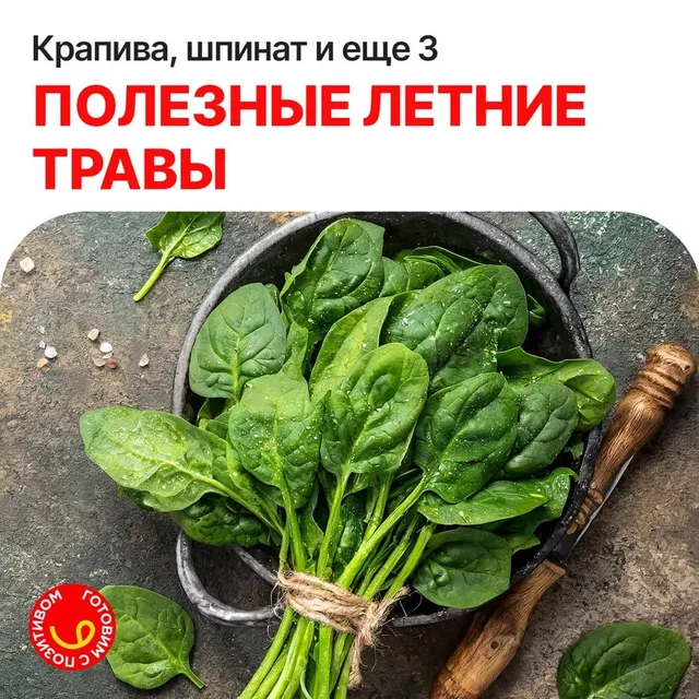 Какая зелень с дачи пригодится в рационе?