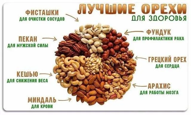 7 самых полезных орехов для человека