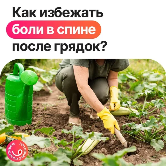 Семена льна Narmak, 1 кг. Бурый лён, суперфуд с Омега-3 и клетчаткой