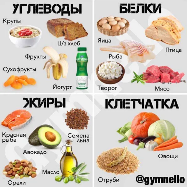 Какие продукты богаты БЖУ? Полный список
